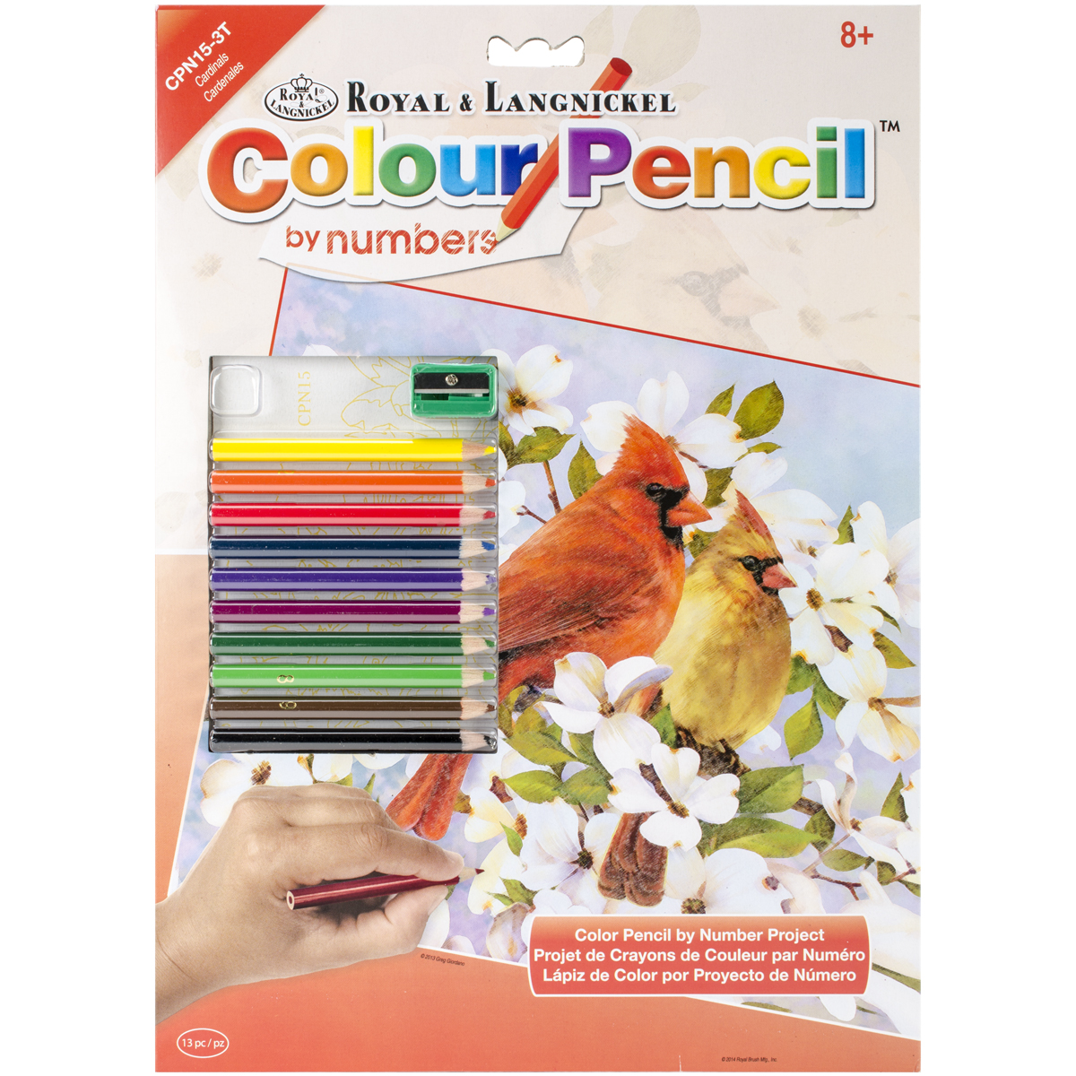 Color Pencil By Number Kit 8.75"X11.75"Cardinals eBay
