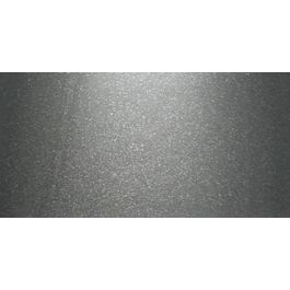 Shimmer Metallic Paint 11.5Oz Silver - 39-22