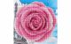 Diamond Art Kit 8x8