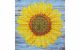 Diamond Art Kit 8x8