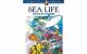 Dover Pub CH Sea Life Color By Number Coloring Bk 