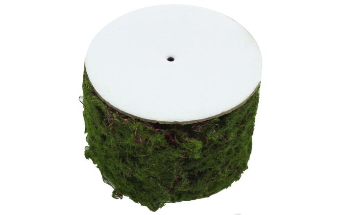 Darice Floral Faux Moss Covered Wire 6x30