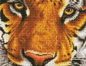 Diamond Painting Intermediate Kits